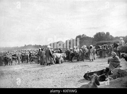 Una fotografia storica etichettata No. 79 che mostra i monumenti e le strade di Samarcanda, Uzbekistan, evidenziando la miscela di stili architettonici islamici e dell'Asia centrale. Foto Stock