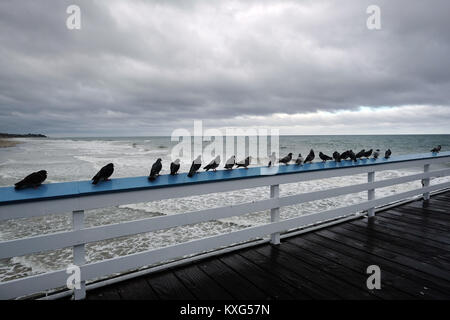 San Clemente, California, Stati Uniti d'America. Il 9 gennaio, 2018. Piccioni sedersi sulla ringhiera, scure nuvole temporalesche incombono su San Clemente Pier. Un forte acquazzone invernale ha colpito la California del Sud martedì mattina, Gen9, causando ingorghi del traffico, alcuni incidenti e avvertenze alluvione di Orange County. Meteo ha messo in guardia i funzionari di allagamento probabile in diverse città tra cui Anaheim, Santa Ana, Irvine, Huntington Beach, Garden Grove e arancione. Credito: Ruaridh Stewart/ZUMA filo/Alamy Live News Foto Stock