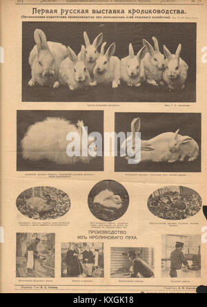 Una pagina dal numero 38 della rivista illustrata russa 'Iskry' del 1911, contenente articoli di notizie e immagini che raffigurano eventi sociali e politici dell'Impero russo. Foto Stock