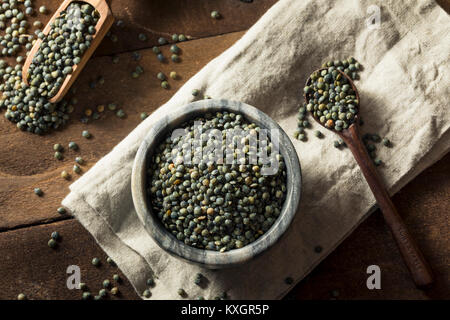 Verde a secco francese organico le lenticchie in una ciotola Foto Stock