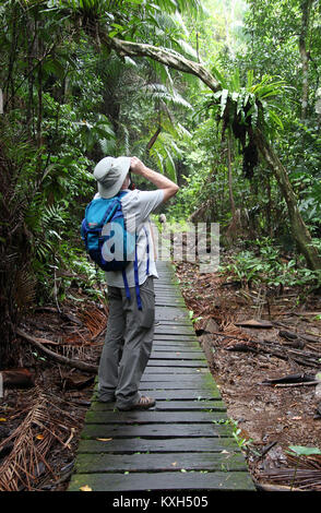 La fauna a Bako National Park in Sarawak Foto Stock