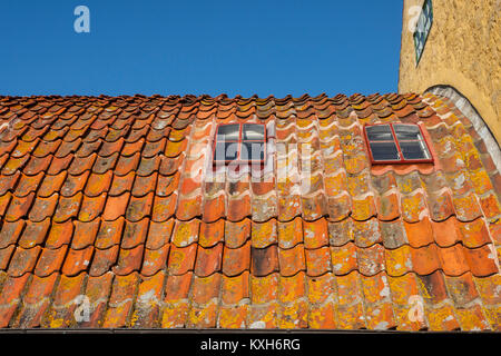 Tetto curvo con tegole rosse sul Bohlendachhuset, Christiansø, Ertholmene, Bornholm, Danimarca Foto Stock