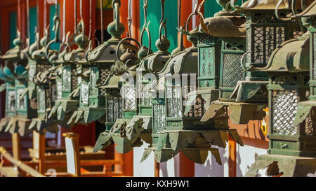 Nara, Giappone - 16 Novembre 2013: Kasuga Taisha stabilito nel 768 e ricostruita più volte nel corso dei secoli. Famosa per le sue numerose lanterne di bronzo e m Foto Stock