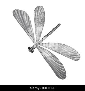 Bianco e nero butterfly. Illustrazione di un animale butterfly fatti a mano. Dipinte a mano e gli insetti. Grigio. Isolato butterfly pattern su uno sfondo bianco. Foto Stock