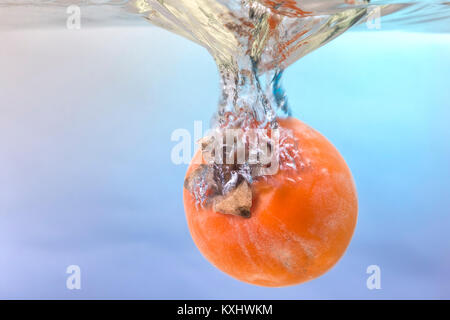 Persimmon (latino Diōspyros) schizzi d'acqua Foto Stock