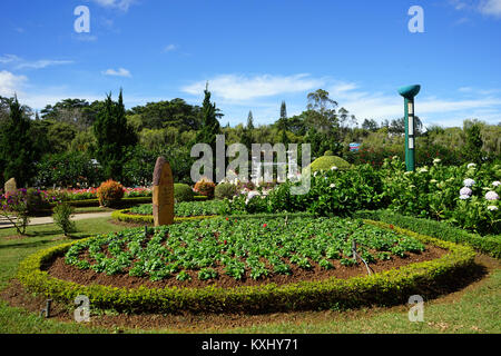 DALAT, VIETNAM - circa gennaio 2017 Flower Garden Foto Stock