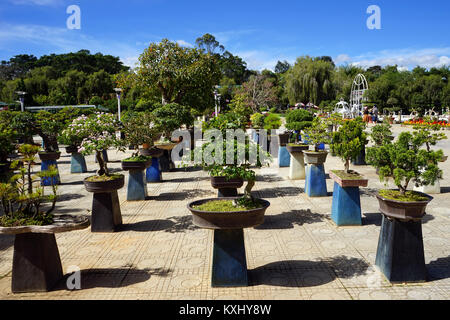 DALAT, VIETNAM - circa gennaio 2017 Flower Garden Foto Stock