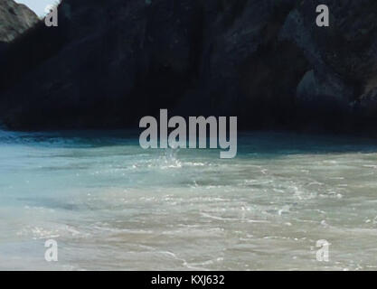 Fotografia subacquea a Horseshoe Bay, Bermuda, che mostra un pesce più grande che preda pesci più piccoli in acque tropicali cristalline, illustrando il comportamento marino naturale nell'Oceano Atlantico. Foto Stock