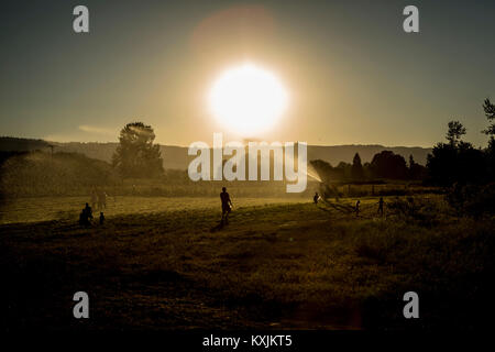 Paesaggio di campo con adulti e bambini che giocano con sprinkler agricoli al tramonto Foto Stock