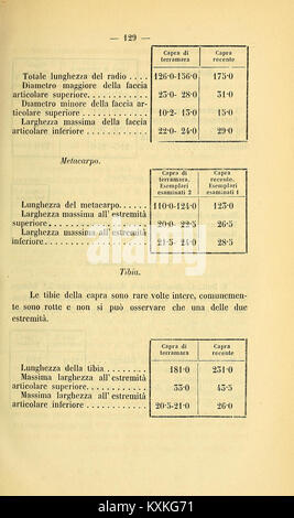 Atti della Società dei naturalisti e matematici di Modena (pagina 129) BHL33697730 è una pubblicazione scientifica che documenta gli atti della società dei Naturalisti e matematici di Modena. Foto Stock