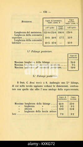 A pagina 130 degli atti della Società dei naturalisti e matematici di Modena vengono presentate osservazioni scientifiche e ricerche di naturalisti e matematici. Foto Stock
