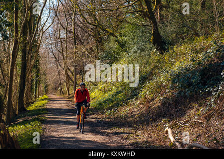 Ciclista su comodo sentiero seguito dalla vecchia linea ferroviaria vicino a Broughton in Furness, Cumbria Foto Stock