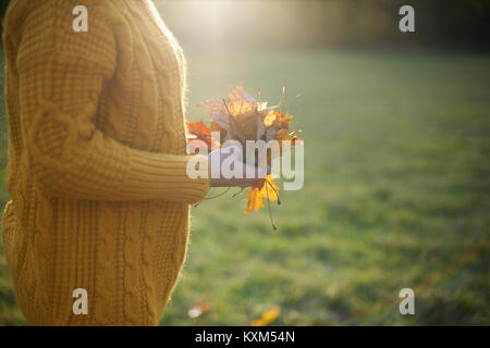 Vista ritagliata della donna che mantiene le foglie di autunno Foto Stock