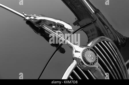Jaguar Mk 2 classico sportivo cromato auto Jaguar emblema e la griglia del radiatore Foto Stock