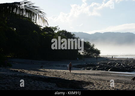 Uomo con la tavola da surf su una spiaggia orlata di palme all'alba nella penisola di Nicoya Foto Stock