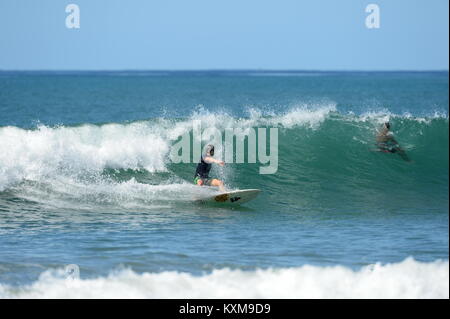 Surf in Costa Rica Foto Stock