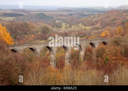 In disuso viadotto Lambley, Haltwhistle di Alston railway. Haltwhistle, Northumberland, Inghilterra, Regno Unito. Autunno Foto Stock