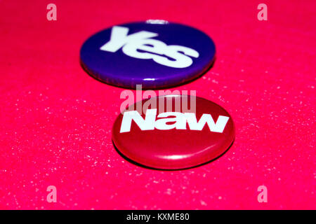 Naw e sì badges per 2014's scozzese referendum di indipendenza Foto Stock