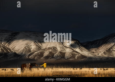 Horse piantato sulla sua vie montagne innevate della Mongolia capre allevamento inverno steppe praterie Foto Stock