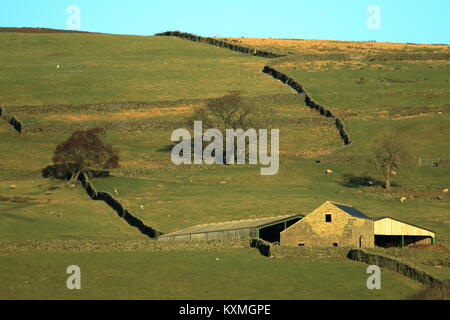 Campagna vicino Pately Bridge,North Yorkshire, Regno Unito Foto Stock