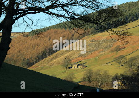 Campagna vicino Pately Bridge,North Yorkshire, Regno Unito Foto Stock