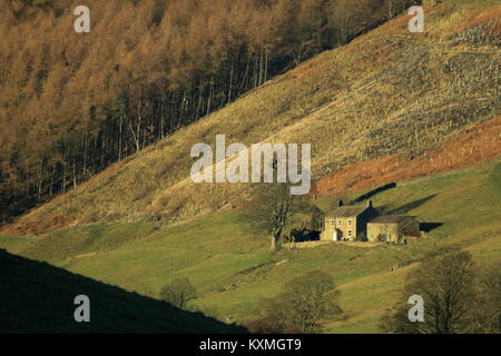 Campagna vicino Pately Bridge,North Yorkshire, Regno Unito Foto Stock