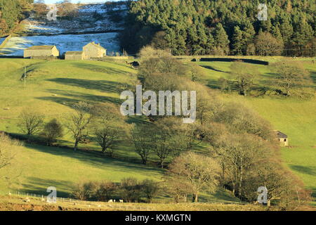 Campagna vicino Pately Bridge,North Yorkshire, Regno Unito Foto Stock