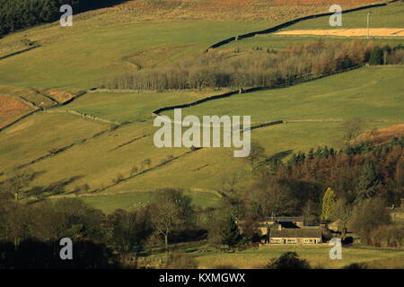 Campagna vicino Pately Bridge,North Yorkshire, Regno Unito Foto Stock