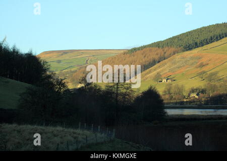 Campagna vicino Pately Bridge,North Yorkshire, Regno Unito Foto Stock