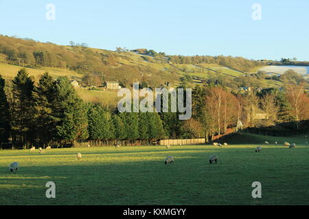 Campagna vicino Pately Bridge,North Yorkshire, Regno Unito Foto Stock