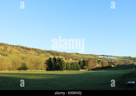 Campagna vicino Pately Bridge,North Yorkshire, Regno Unito Foto Stock