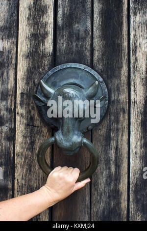 Porta retrò respingente a forma di testa di un toro è montato su una porta di legno. Le frizioni a mano il respingente. Foto Stock