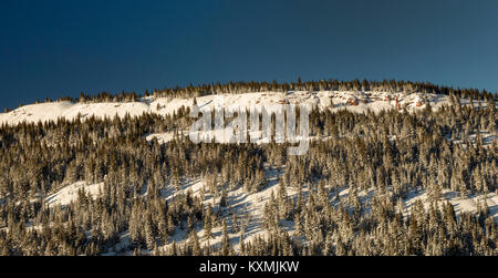 Vail Colorado - Inverno nelle Montagne Rocciose a Vail Pass. Foto Stock