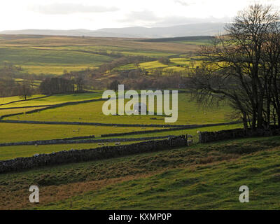 Vista dal pascolo irregolare della banca di Moro su terreni agricoli di rotolamento di Eden Valley con un patchwork di campi a lontane colline di Cumbria in autunno dorato luce Foto Stock