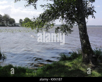 Étang de Soustons è uno stagno in Costa Azzurra, Landes, Francia, noto per il suo ambiente acquatico e il paesaggio naturale circostante. Foto Stock