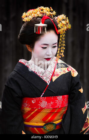 Una geisha passeggiate per le strade di Kyoto, Giappone. Foto Stock