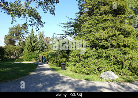 Giardino Bergianska di Stoccolma, Svezia, che espone collezioni botaniche, giardini paesaggistici, sentieri, e diverse specie di piante. Il giardino funge da istituzione pubblica e scientifica. Foto Stock