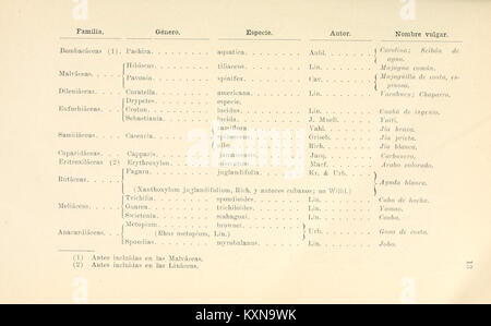 La pagina 13 "Boletín de bosques, pesca y caza" si concentra sulla silvicoltura, la pesca e la caccia, fornendo informazioni sulle pratiche ecologiche e sulla gestione ambientale in Spagna. Foto Stock
