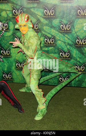 Londra, Regno Unito. Decimo gen, 2018. Cast , Cirque Du Soleil OVO - UK premiere, Royal Albert Hall di Londra, UK, 10 gennaio 2018, Foto di Richard Goldschmidt Credito: ricca di oro/Alamy Live News Foto Stock