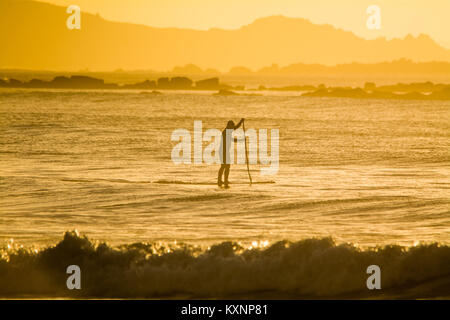 Paddle boarder fuori sul mare a Marazion all'alba in gennaio. La mattina di sole dando un bagliore dorato all'immagine. Foto Stock