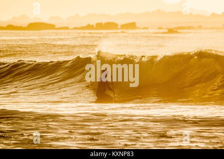 Paddle boarder fuori sul mare a Marazion all'alba in gennaio. La mattina di sole dando un bagliore dorato all'immagine. Foto Stock