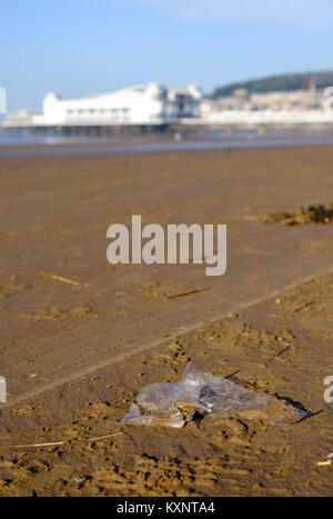 Weston-Super-Mare, Regno Unito. Giovedì 11 gennaio 2018 rifiuti in plastica sulla spiaggia in Weston-super-Mare. Credito: JMF News/Alamy Live News Foto Stock