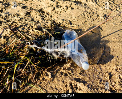 Weston-Super-Mare, Regno Unito. Giovedì 11 gennaio 2018 rifiuti in plastica sulla spiaggia in Weston-super-Mare. Credito: JMF News/Alamy Live News Foto Stock