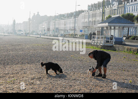 Weymouth. 11 Gennaio 2018 - Le persone godono di una posizione soleggiata ma fredda giornata sulla spiaggia di Weymouth, nel Dorset Credito: stuart fretwell/Alamy Live News Foto Stock