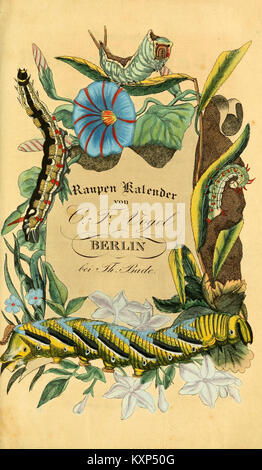 Chronologischer Raupenkalender, oder, Naturgeschichte der Europäischen Raupen (6029993554) Foto Stock