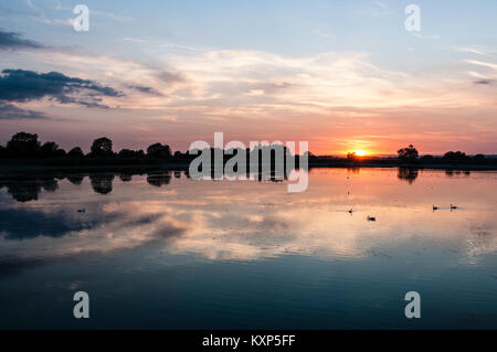 Estate tramonto al serbatoio Startopsend, vicino a Tring, Hertfordshire, Inghilterra. Parte di Tring serbatoi Riserva Naturale Foto Stock