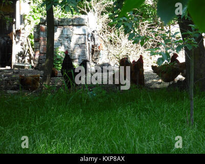 Fotografia storica di Bolesławiec, Polonia, che mette in evidenza il sito AB.101, architettura, strade, patrimonio culturale e produzione di ceramiche Foto Stock