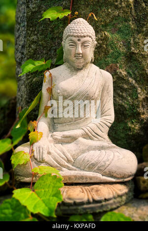 Stone statua del Buddha sulla roccia nella foresta con pianta rampicante sul suo lato sulla calda giornata di sole Foto Stock