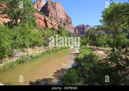 Una scena sulla riva del fiume lungo il pool di smeraldo Trail nel Canyon Zion Foto Stock