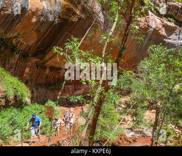 Gli escursionisti sul pool di smeraldo Trail nel Canyon Zion Foto Stock